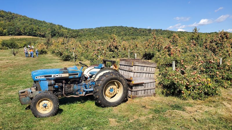 Plan Your Visit to Dickie Brothers Orchard in Roseland