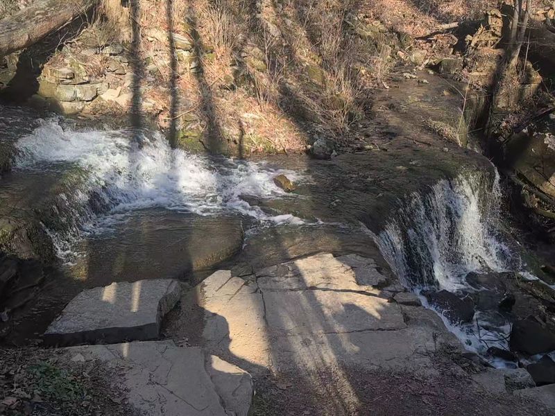 A Hidden Spring Emerging Right Out of the Limestone Bluffs