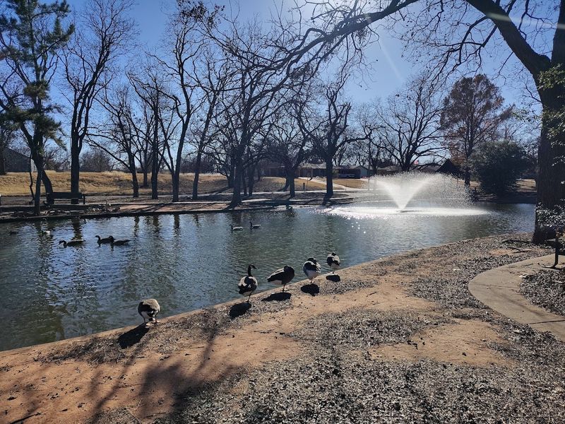 The Swimming Pool and Summer Cool-Down