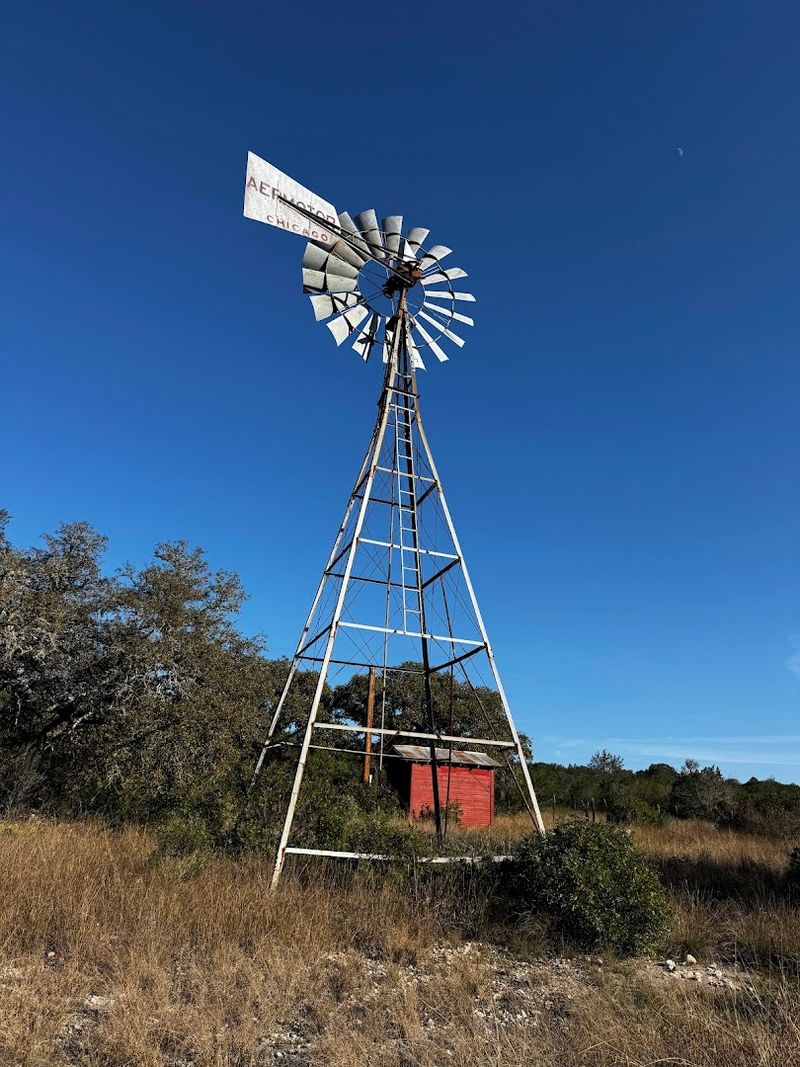 The Extraordinary Bird Life Including Rare Species