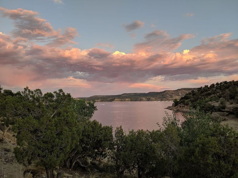 Rosa And Los Arboles Lost To The Deep