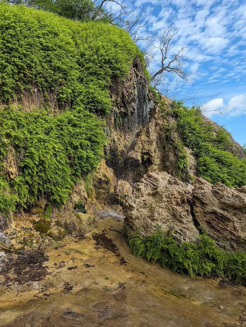 Best Time to Visit for a Quieter Experience