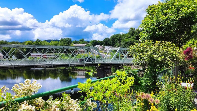 When To Visit For The Most Jaw-Dropping Bloom Display