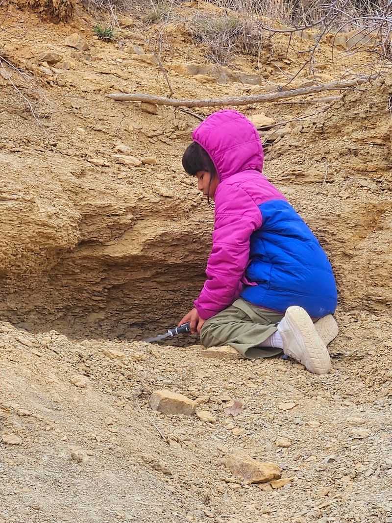 Visiting With Kids: Why This is One of Texas Best Family Outings