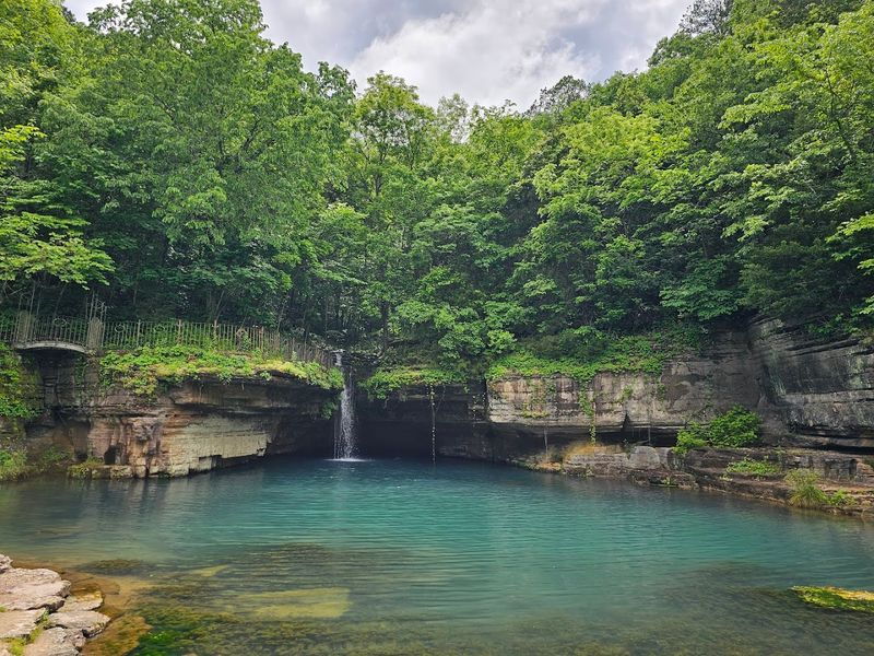 The Tram Tour Experience