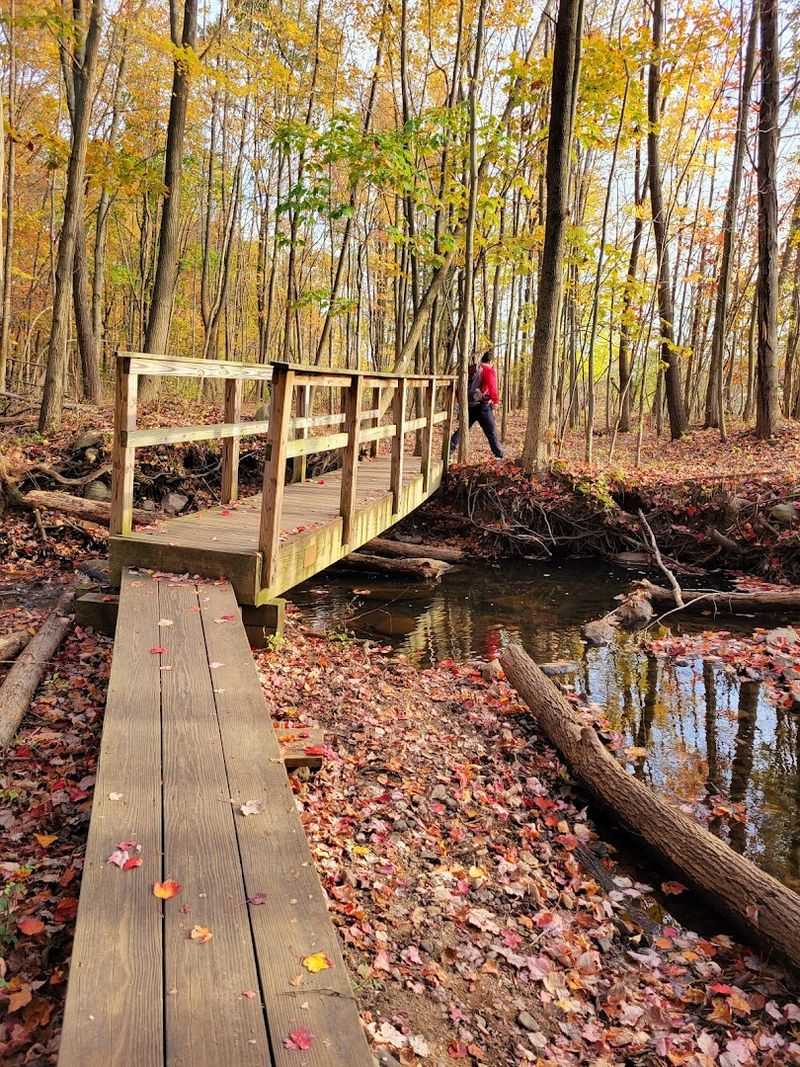 Sunrise And Sunset Visits That Transform The Entire Atmosphere