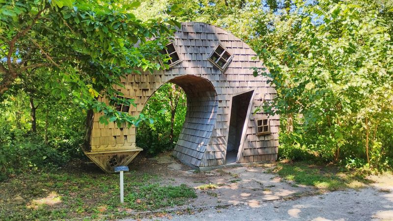 The Cedar Wood Design That Defies All Logic