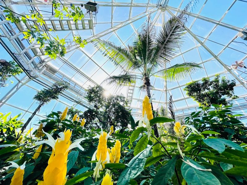 The Conservatory: A Tropical World Inside Texas