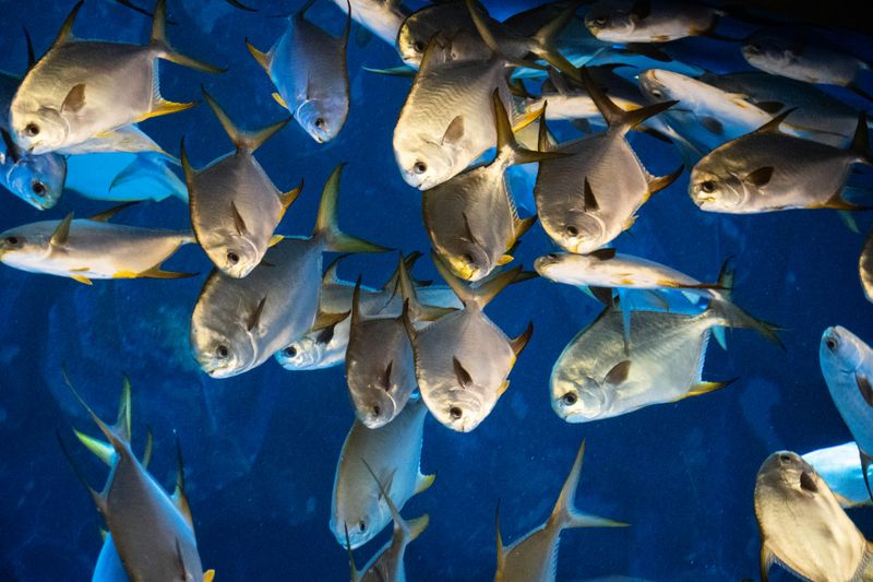 Recognizing the Warning Signs Before You Even Reach the Water