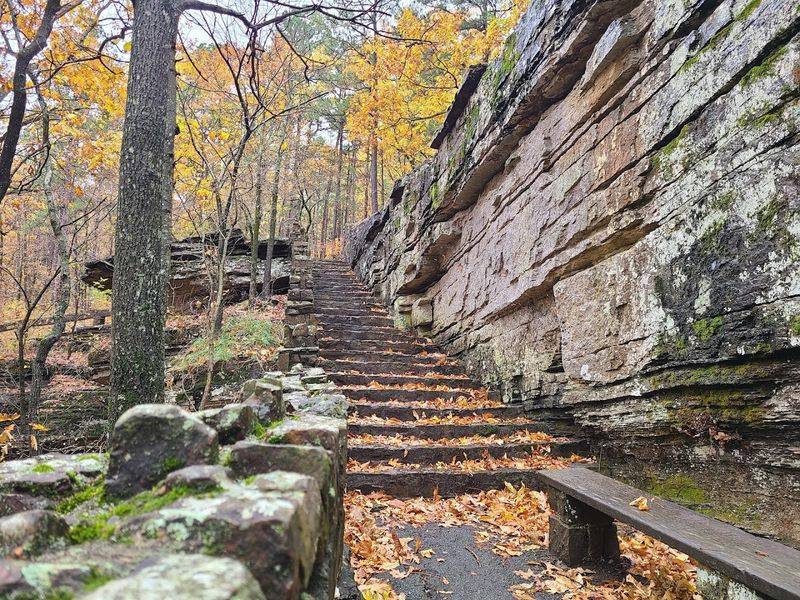 The Forest Trail Leading Down to the Stone