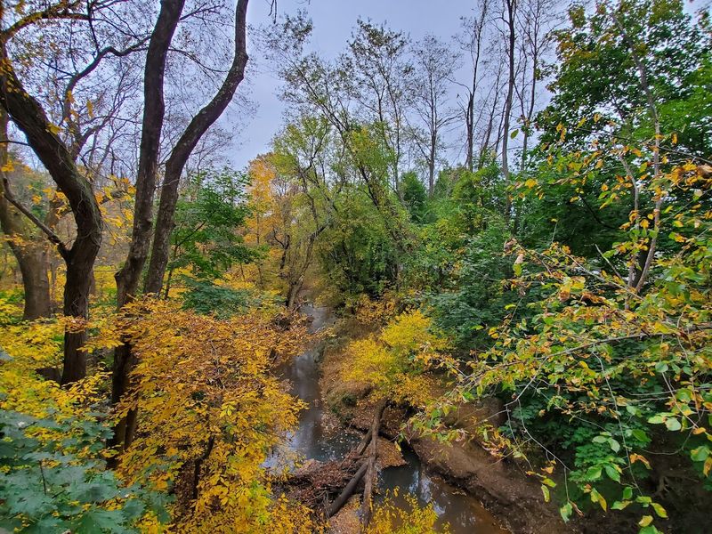 Big Brook Itself: The Creek That Does the Work for You