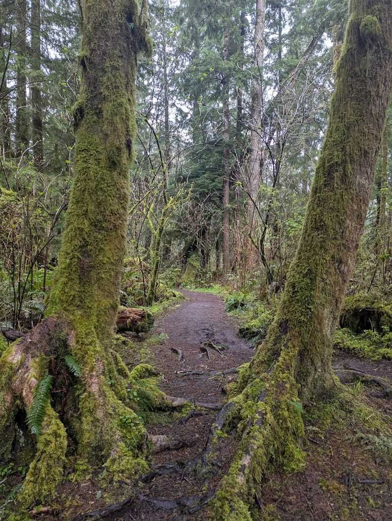 How Difficult Is the Hike Really