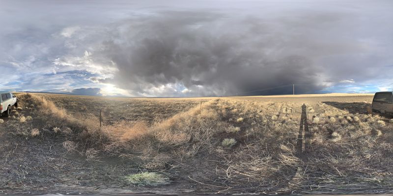 Wildlife of the High Desert: What Shares the Land