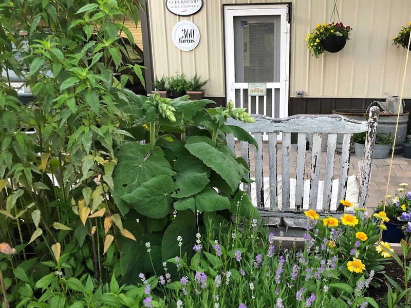 Tea Blends Make You Slow Down