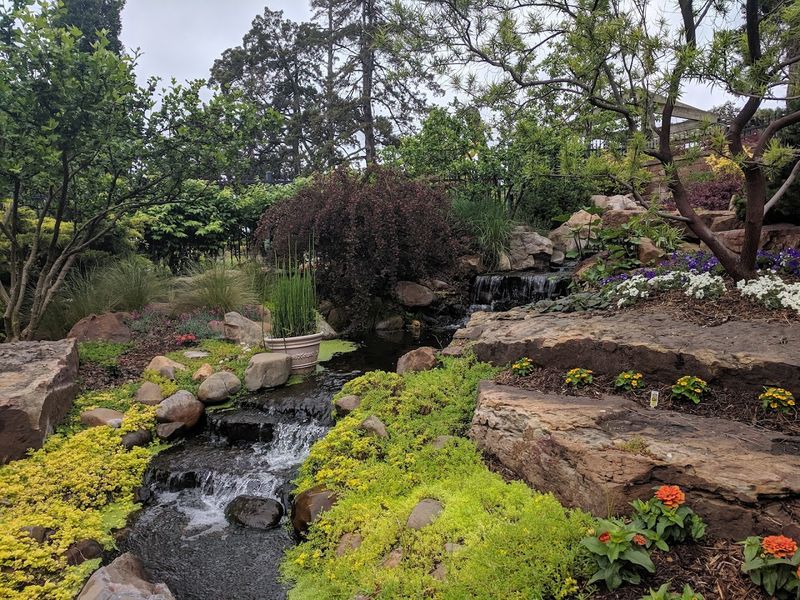 Rock and Herb Gardens Add Texture to Every Visit