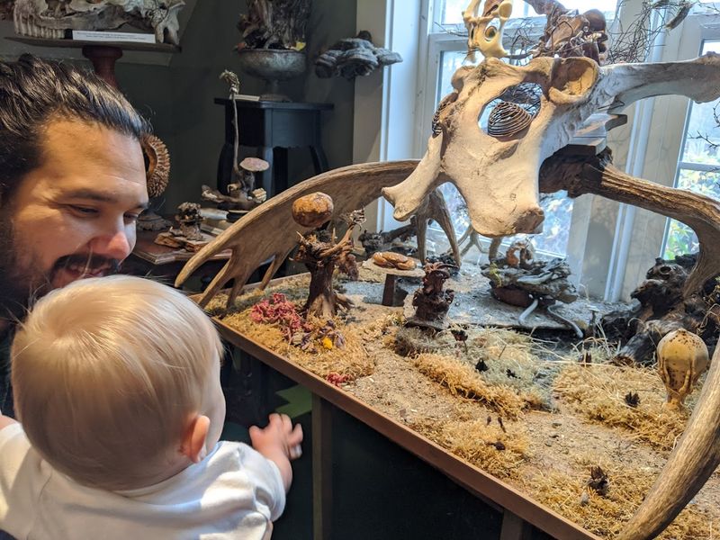 Free to Enter, Priceless to Experience