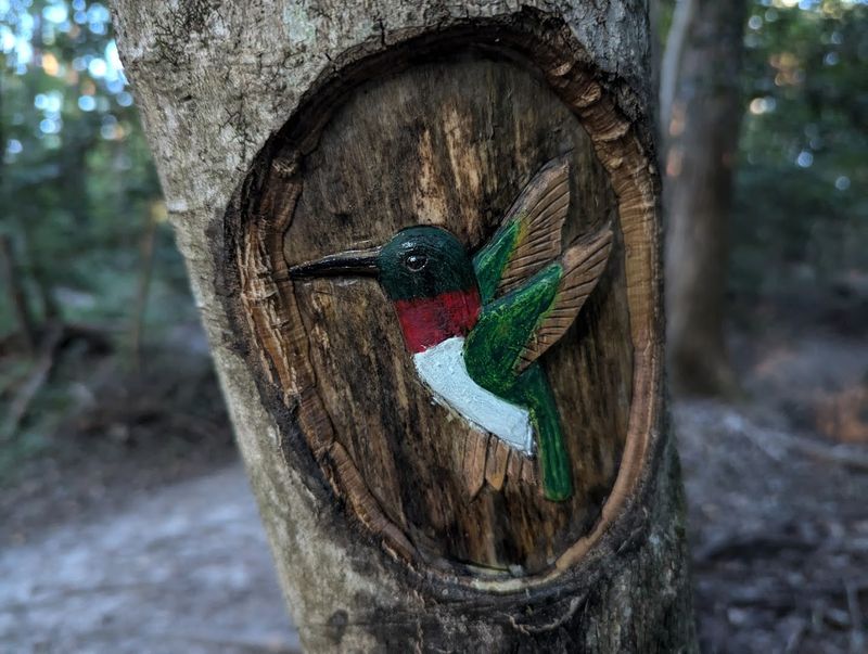 A Forest Transformed Into an Open-Air Gallery