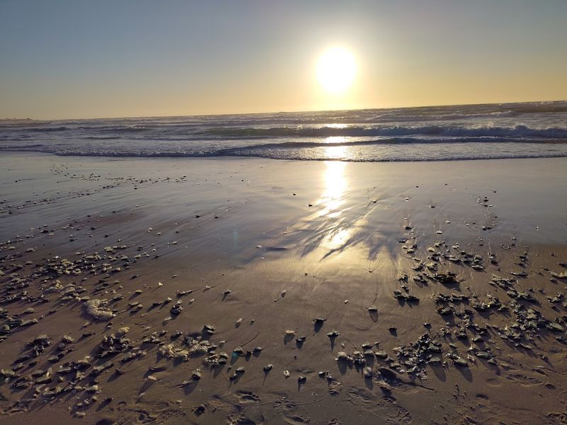 How to Make the Most of Your Time Here