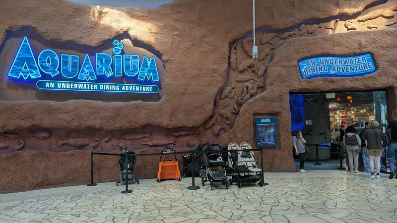 Why Nashville Visitors Keep Coming Back to This Spot