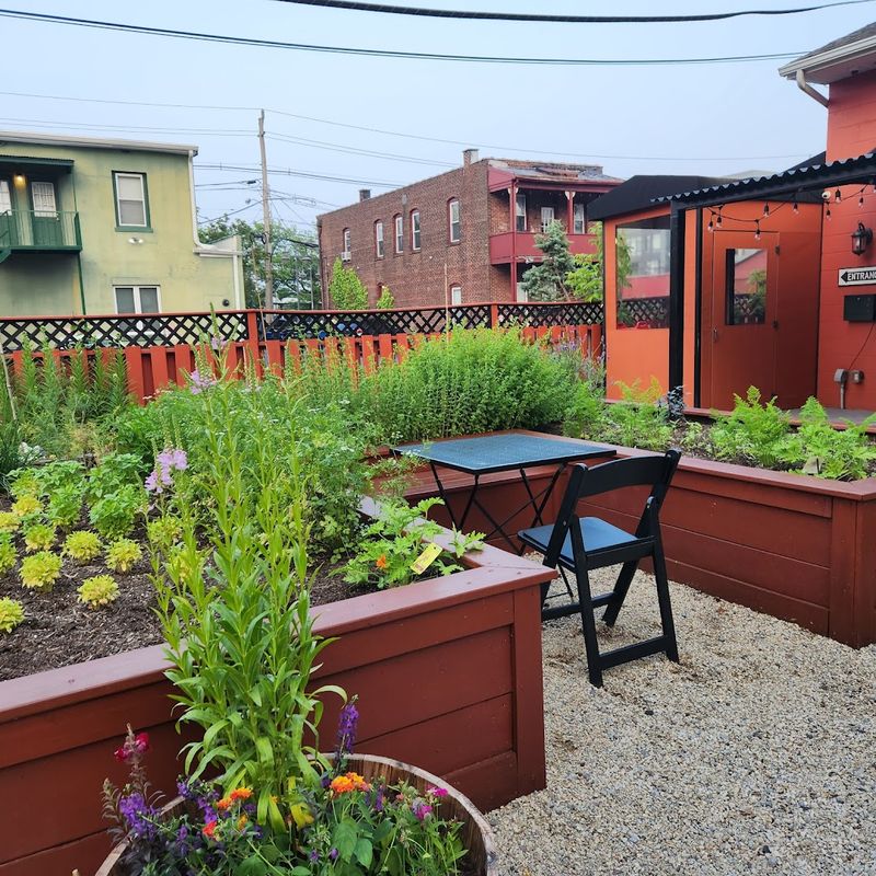 Volunteering as Currency: How Giving Time Feeds the Soul