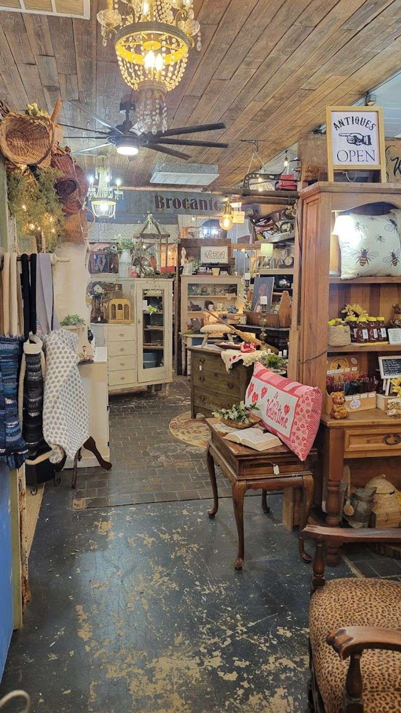 Freeze-Dried Candy and Unexpected Snack Finds