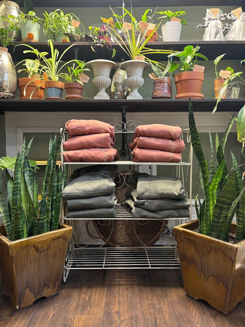 Rare and Unusual Plants That Spark Genuine Curiosity