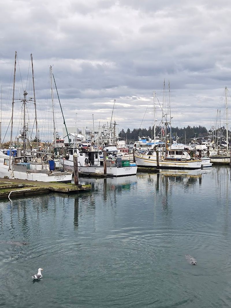 Wildlife You Did Not Expect To See