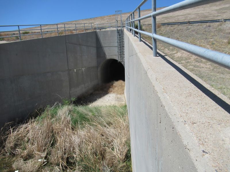 The Human Cost of an Empty Promise