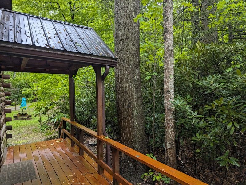 Cheat River Lodge and Cabins: Sleeping Next to Moving Water