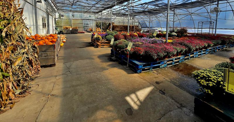 A Free Soil Stop Packed With Michigan Harvest Flavor