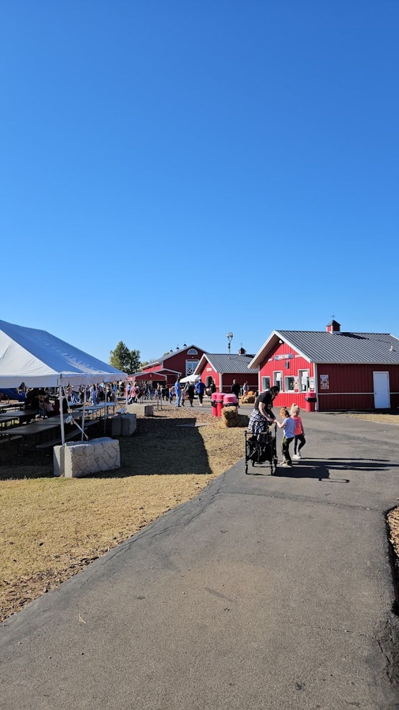 Planning Your Visit to Make the Most of the Farm