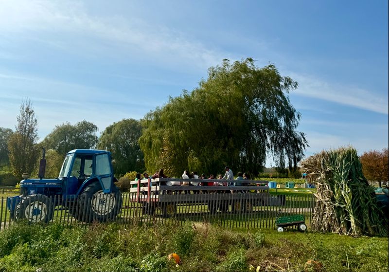 Bounce Pillows Add Extra Energy