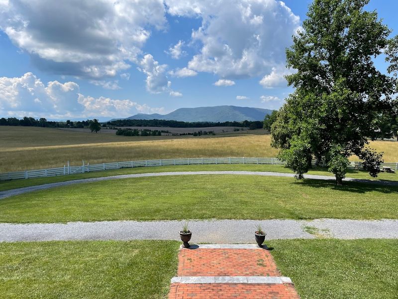 Planning Your Visit to Belle Grove Plantation