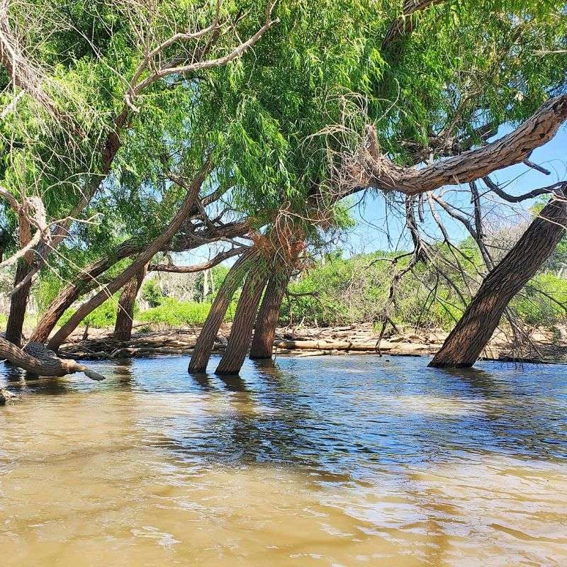 Hiking and Trail Exploration Offer a Quieter Side of the Lake