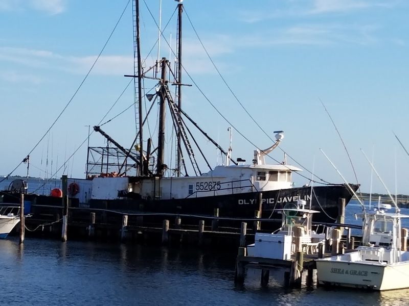 Deep-Sea Fishing and Charter Boats: The Real Barnegat Light Experience