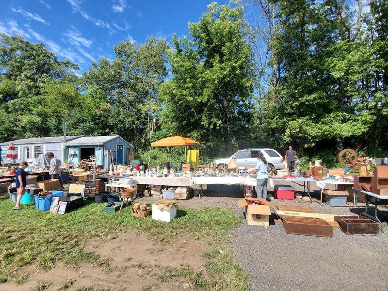 What to Know Before You Go to Five Acres