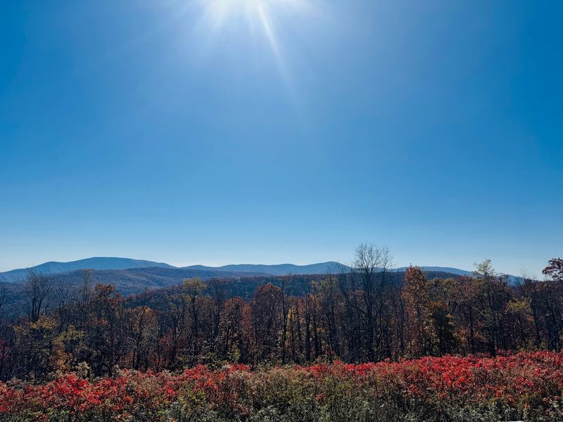 Augusta County and Nelson County: Two Counties, One Epic View