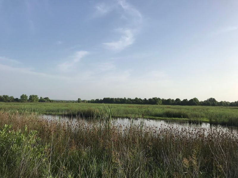 How Red Slough Fits Into the Bigger Conservation Picture