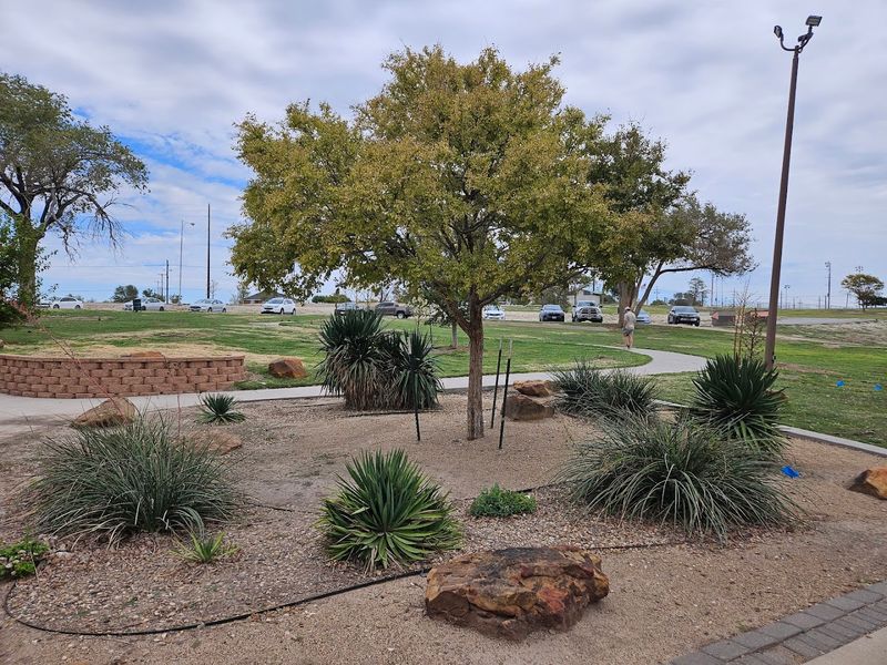 What to Bring for the Perfect Visit