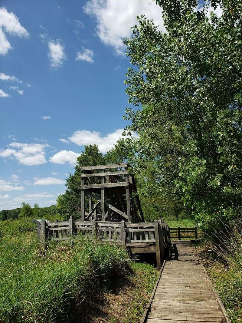 Practical Tips for Getting the Most Out of Your Visit