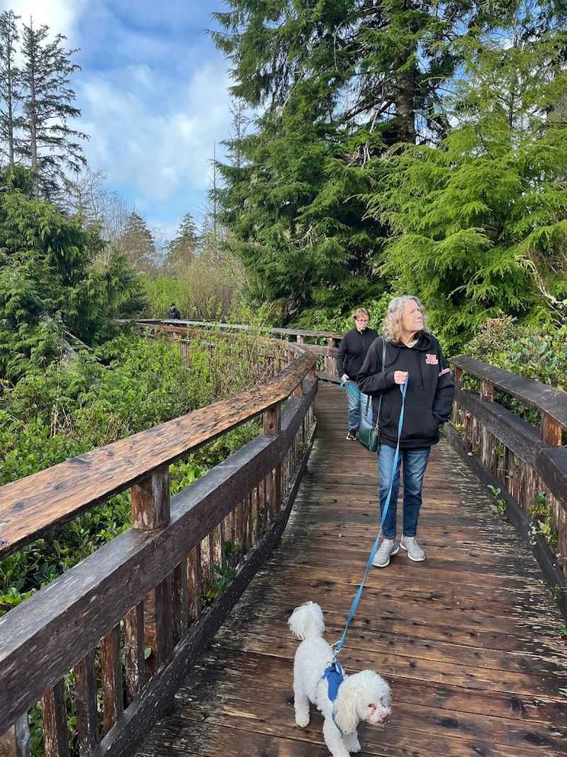 What to Expect with Kids and Dogs
