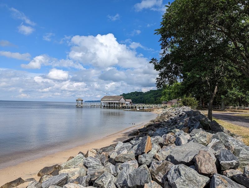 Birdwatching Paradise: Eagles, Ospreys, and More Along the Bluffs