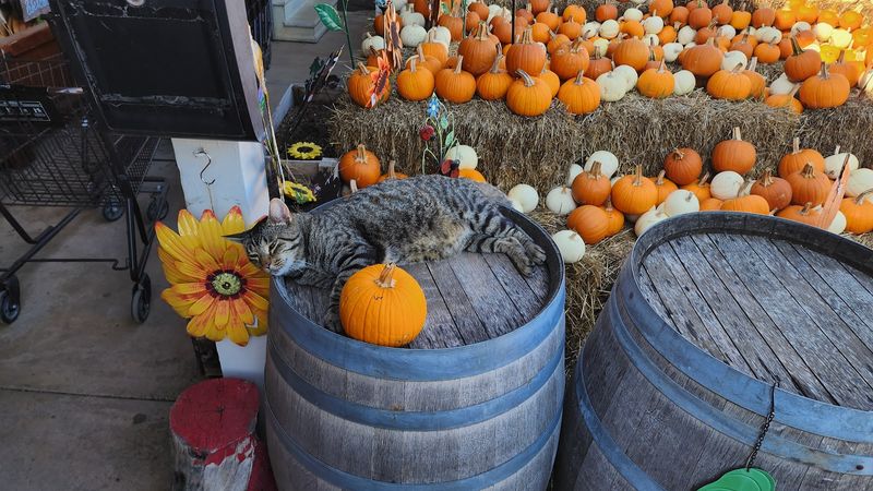 Fresh Produce That Tells a Story