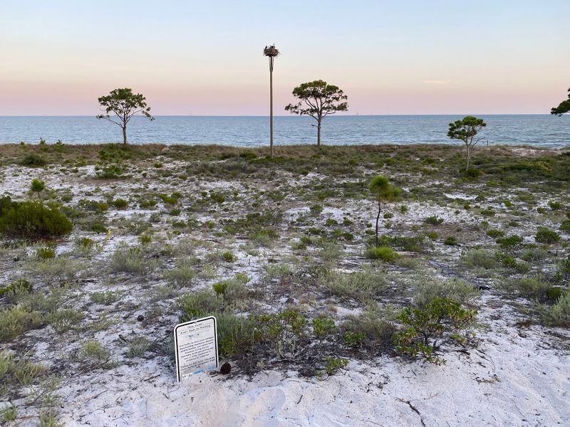 Why Nature Is Part Of The Draw