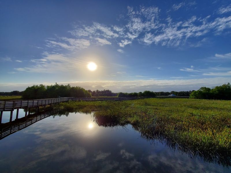 100 Acres Of Wetland Habitat All In One Place