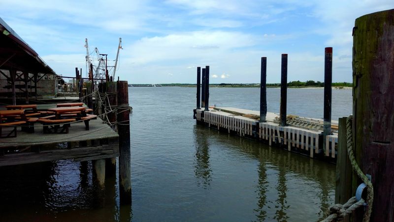 Delaware Bay Oysters: The Flavor That Built a Town
