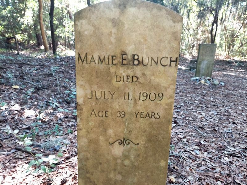 Wash Woods: The Ghost Community That Time Forgot