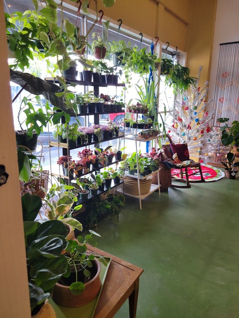 A Small Garden And A Free Book Box Outside