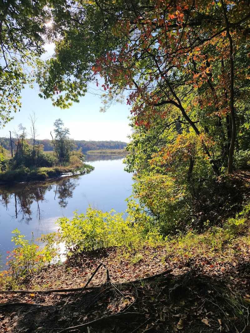 Rancocas Creek: The Winding Star Of The Show