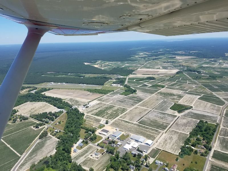 The Fascinating History Behind Hammonton's Blueberry Legacy